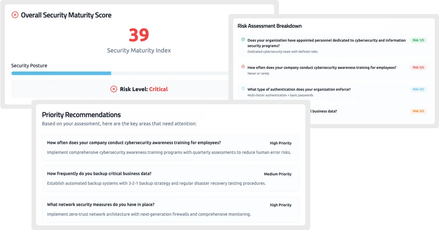 Screenshots of a sample report from Blue Team Alpha's security risk assessment